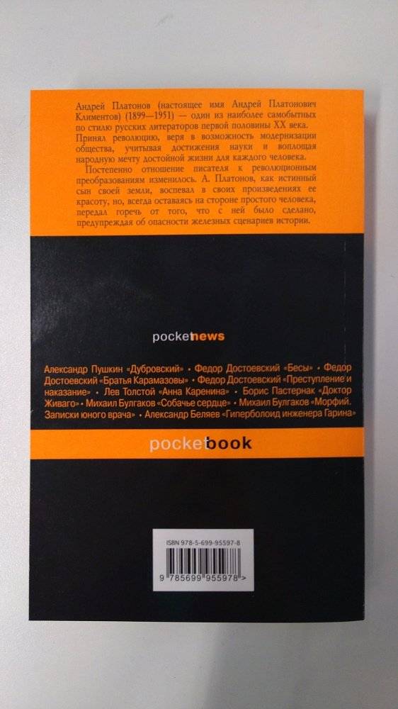 Котлован фото книги 2