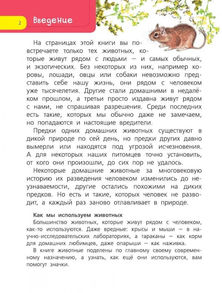 Домашние животные фото книги 3