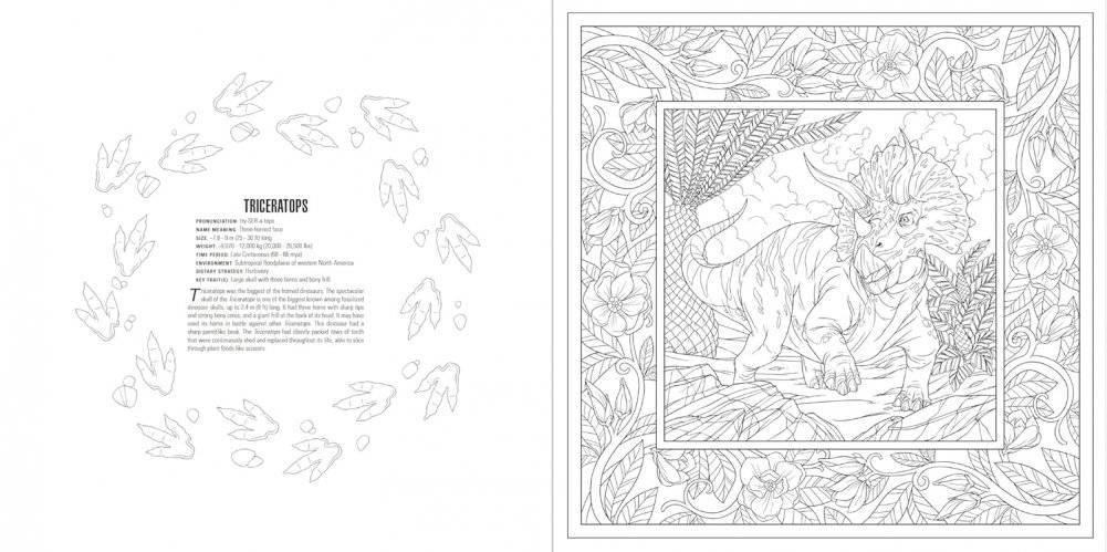 Animals Coloring Book Box Set фото книги 5