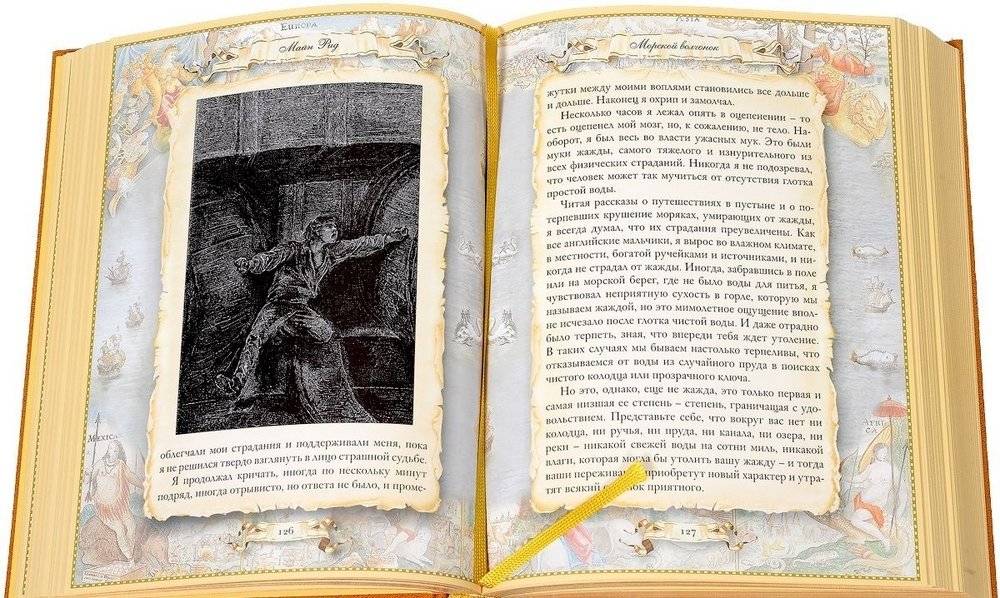 Морской волчонок. Подарочное издание фото книги 4