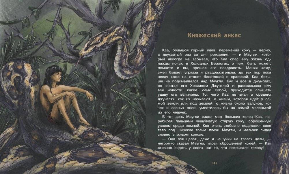 Маугли фото книги 3
