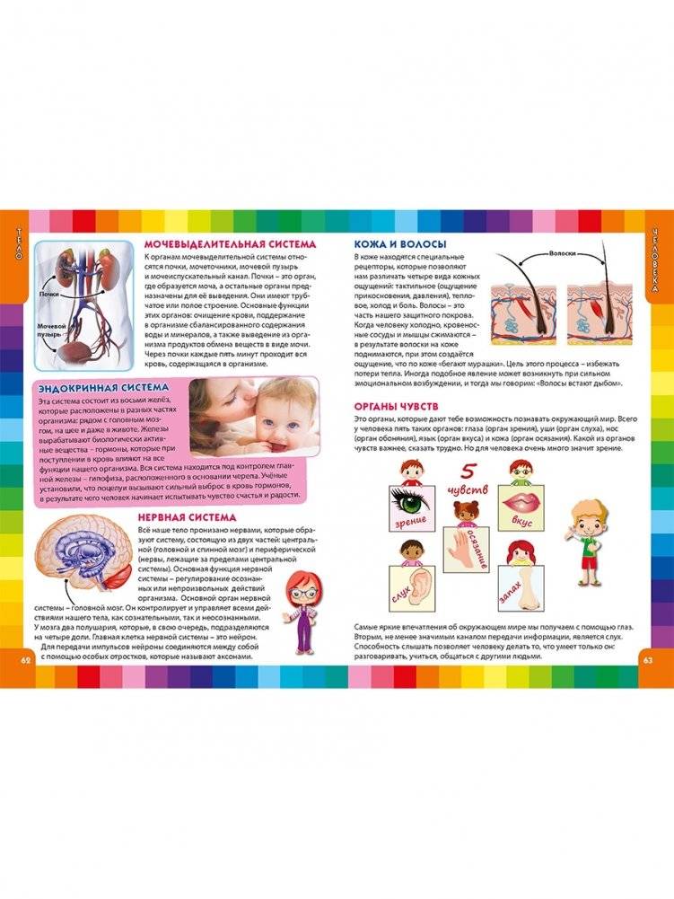 Детская энциклопедия для маленьких почемучек фото книги 9