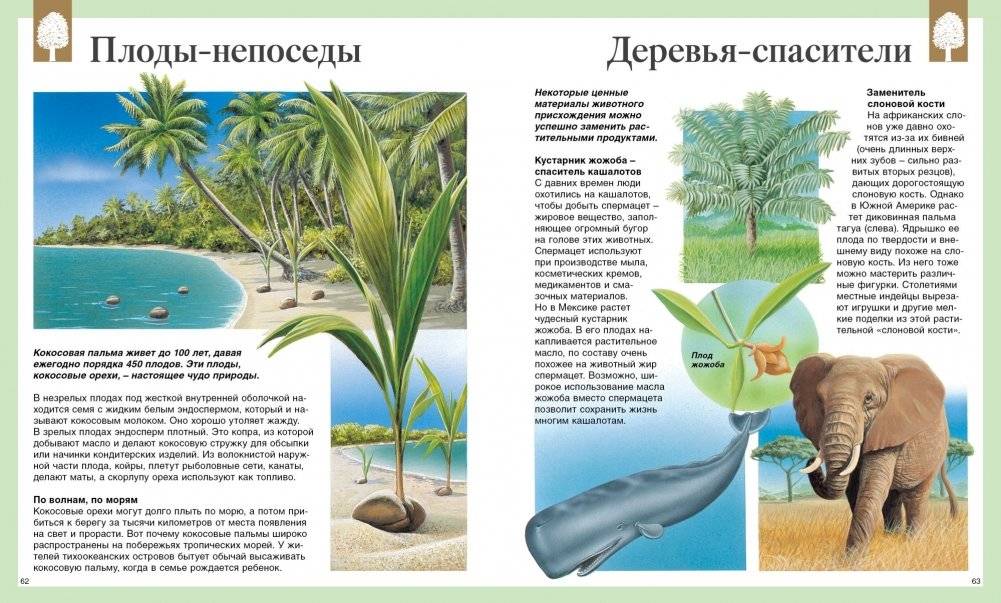 Детская энциклопедия. 250 чудес света фото книги 6