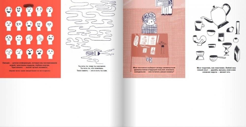 Что там внутри? Путеводитель по нашему мозгу фото книги 5