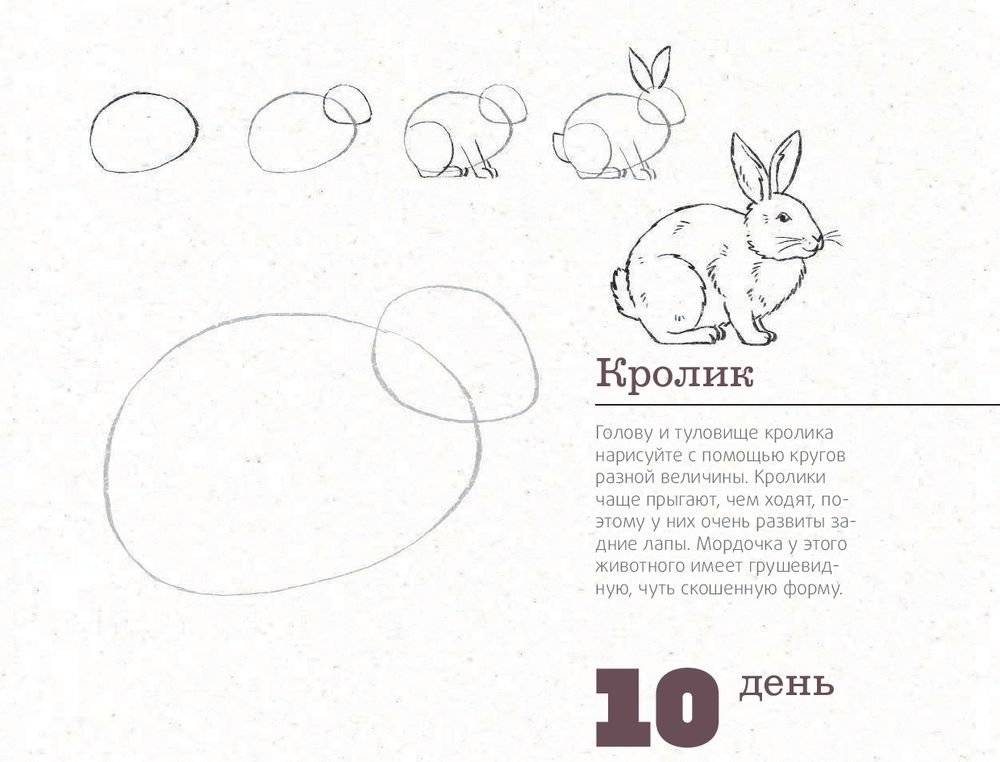 365 дней рисования. Пошаговые техники для начинающих художников фото книги 6