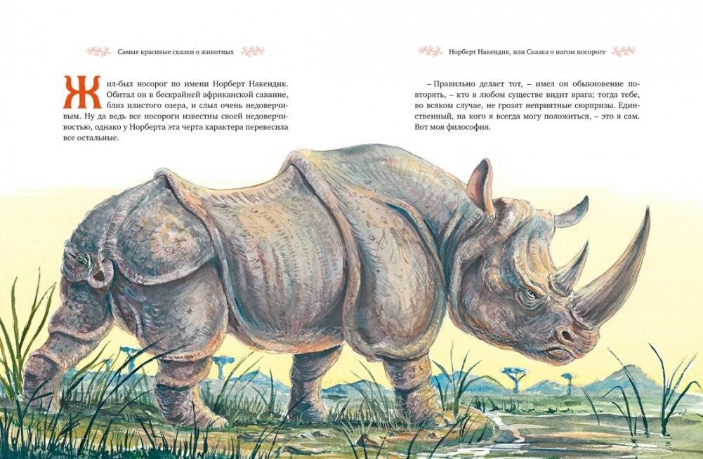 Самые красивые сказки о животных фото книги 7