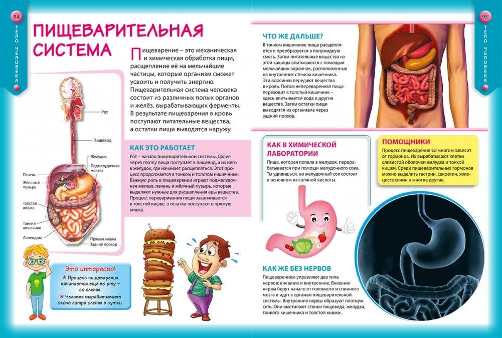Энциклопедия для детей. Обо всем на свете фото книги 3