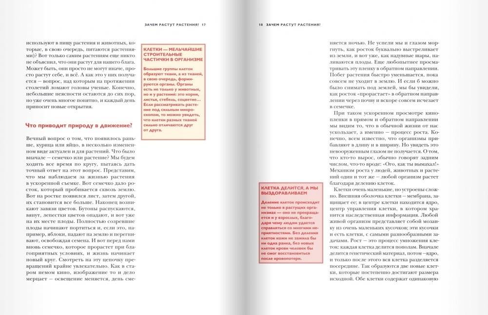 Детский университет. Книга 3. Исследователи объясняют загадки мира фото книги 7