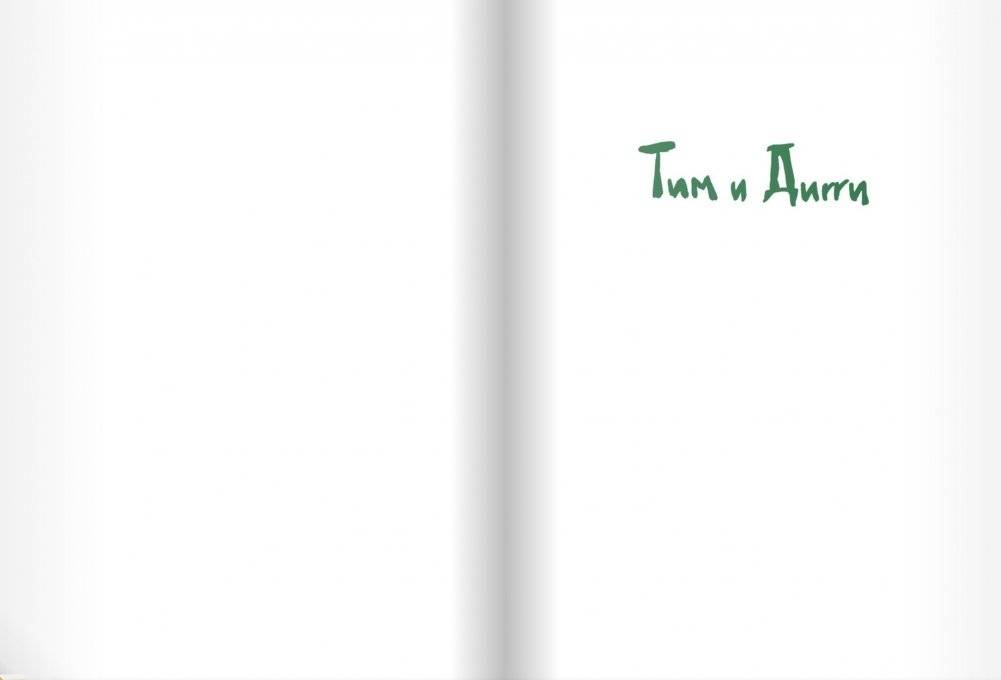 Тим и Дигги фото книги 2