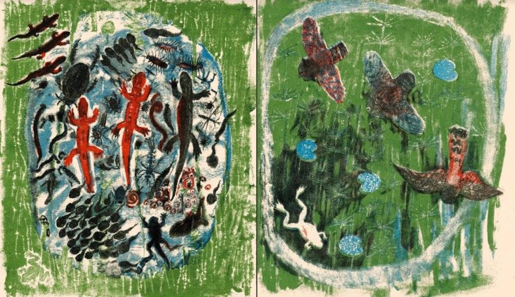 Болото фото книги 3