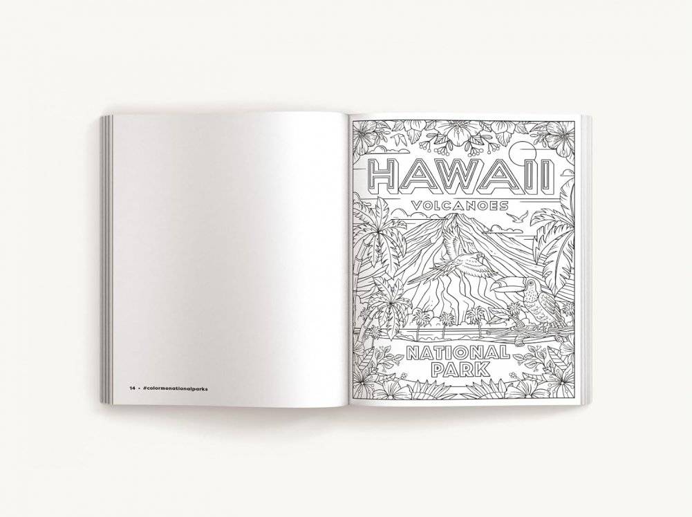 Color Me National Parks: An Adventurous Coloring Book фото книги 3