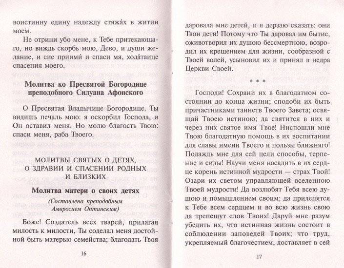 Редкие молитвы о родных и близких, о мире в семье и успехе каждого дела фото книги 2