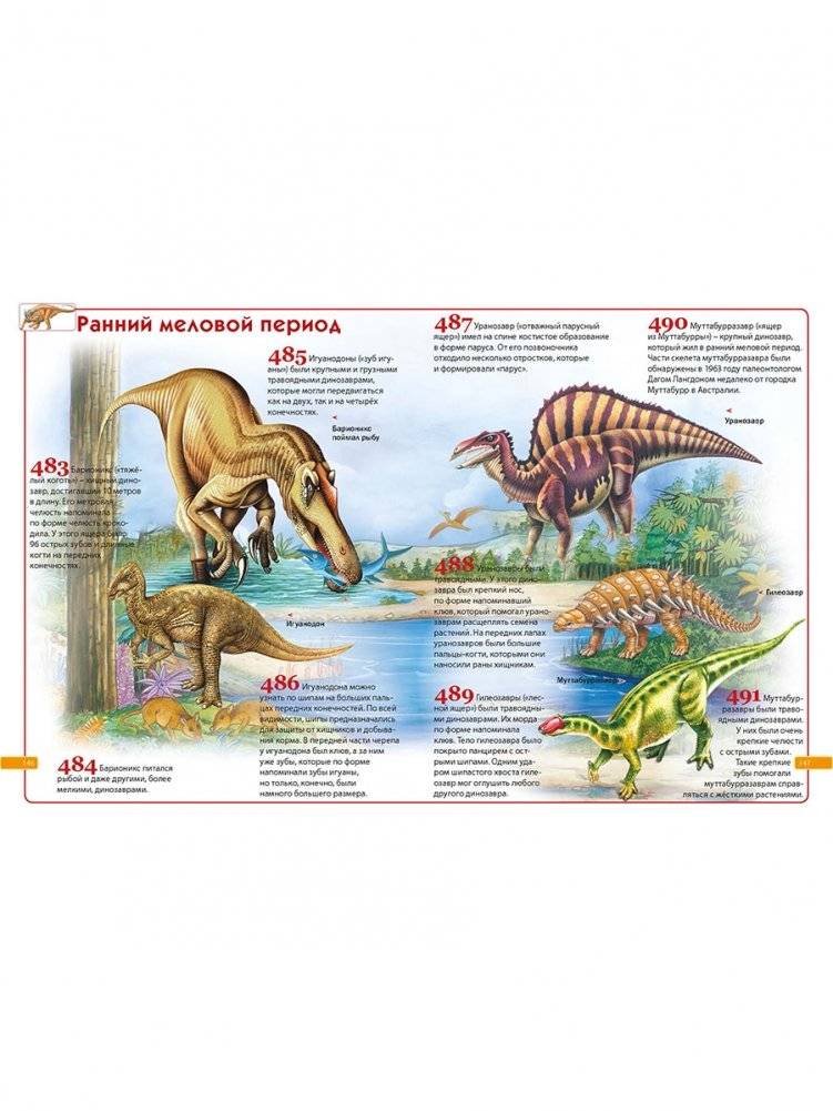 Детская энциклопедия. 1001 ответ на вопросы обо всём на свете фото книги 5