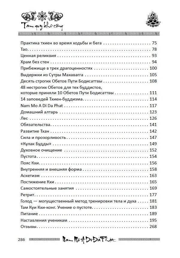 Учение о пустоте. Практика вьетнамского боевого искусства фото книги 3