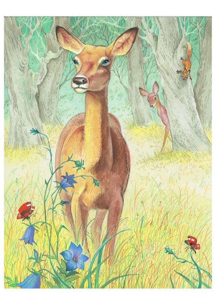 Бемби фото книги 11