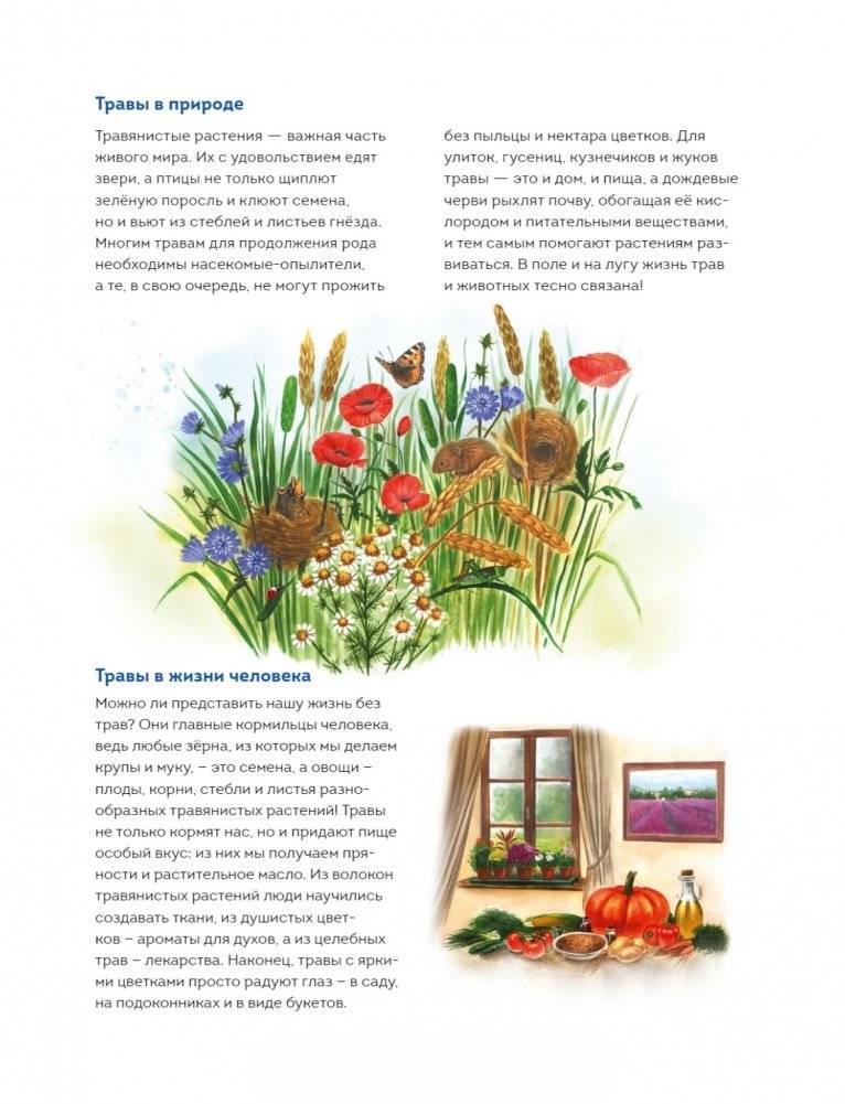 Мой гербарий. Цветы и травы фото книги 5