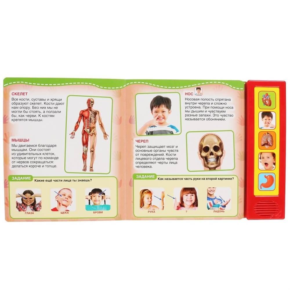 Тело человека фото книги 3