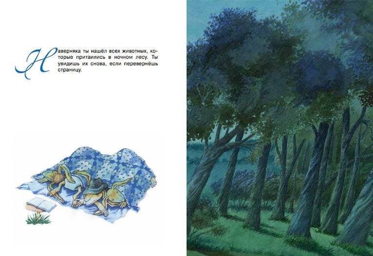 Когда зайцы спят фото книги 2