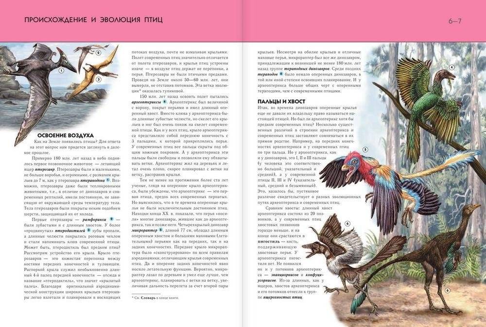 Птицы. Полная энциклопедия фото книги 5