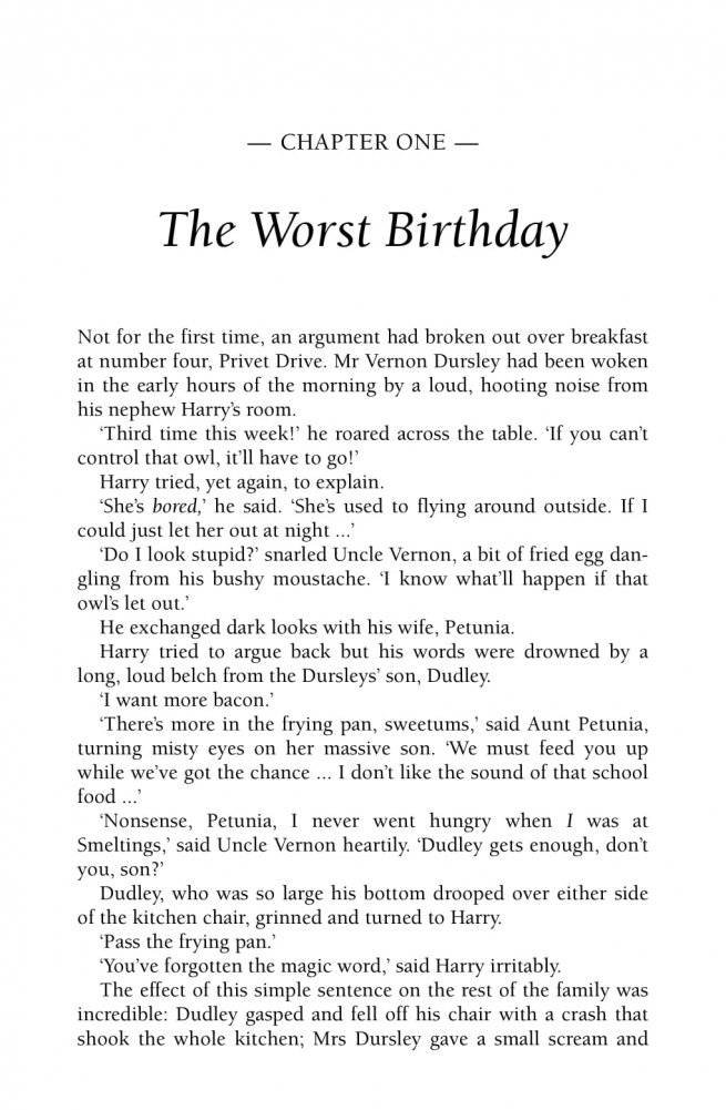 Harry Potter 2 and the Chamber of Secrets фото книги 9