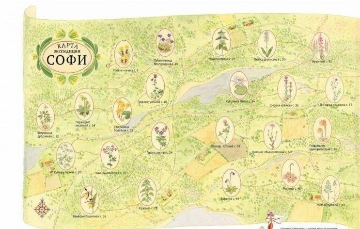 Софи в мире цветов фото книги 10