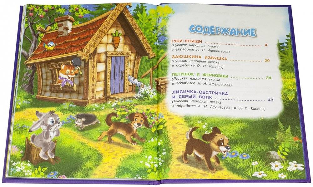 Гуси-лебеди и другие сказки. Книжка с заданиями фото книги 6