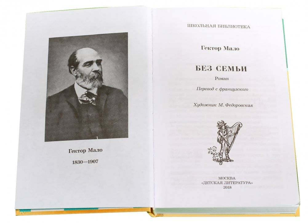 Без семьи фото книги 2