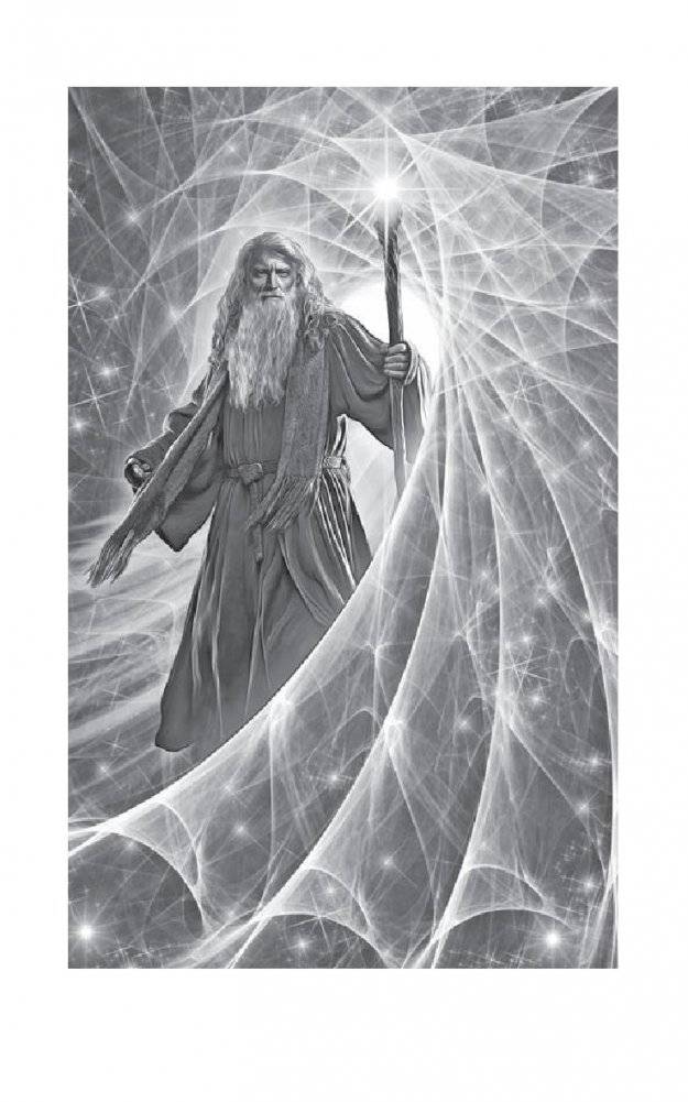 Янтарь лорда демонов. Избранная светом фото книги 3