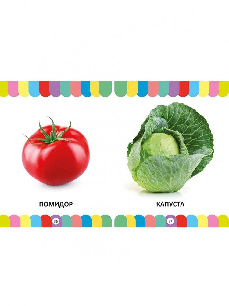 Большая энциклопедия для малышей от 1 года до 3 лет. Фотокнига фото книги 4