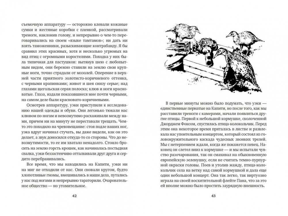 Путь кенгуренка. Поймайте мне колобуса фото книги 2