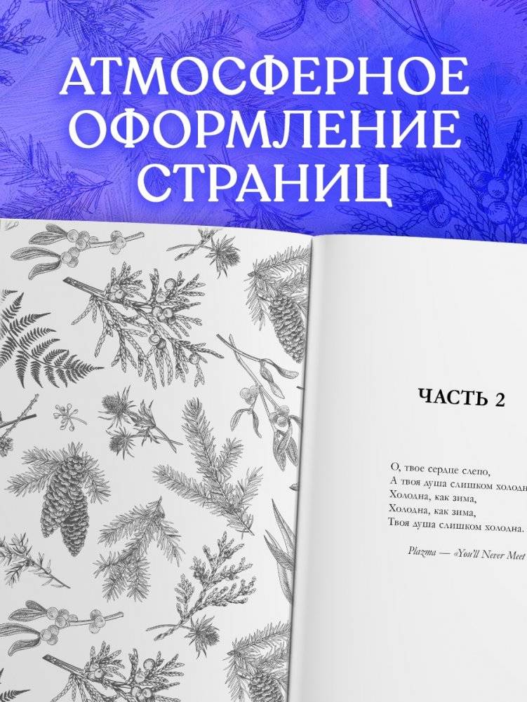 Сердце зимы фото книги 4