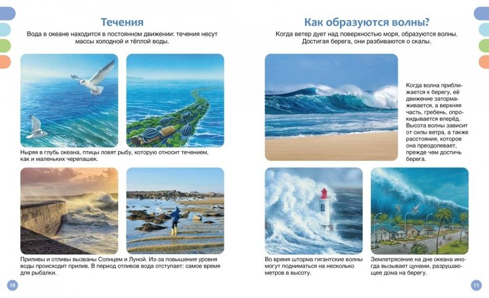 Море и его обитатели фото книги 4