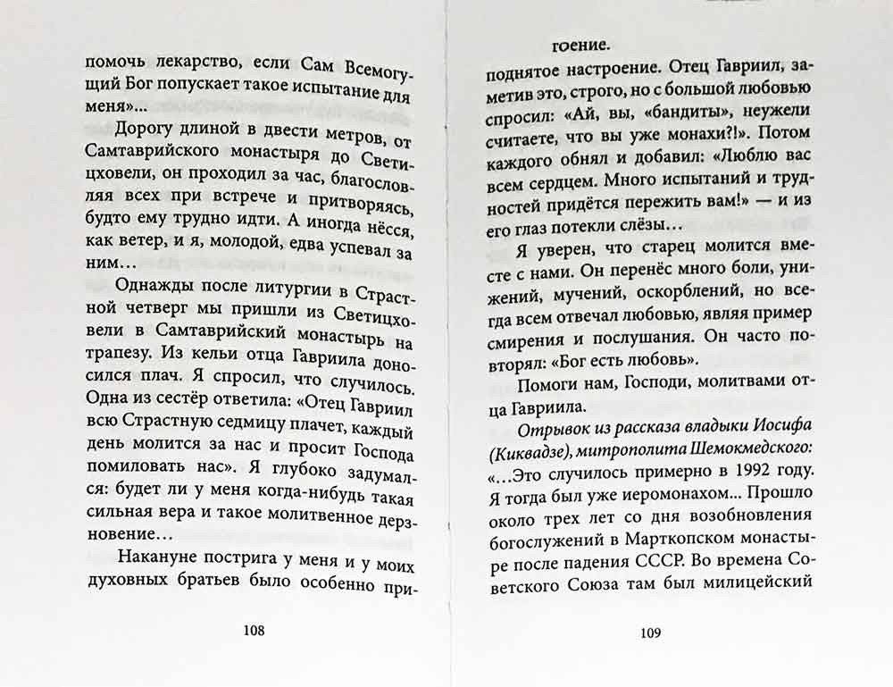 Духом Святым окрылённый. Преподобный Гавриил (Ургебадзе) фото книги 6