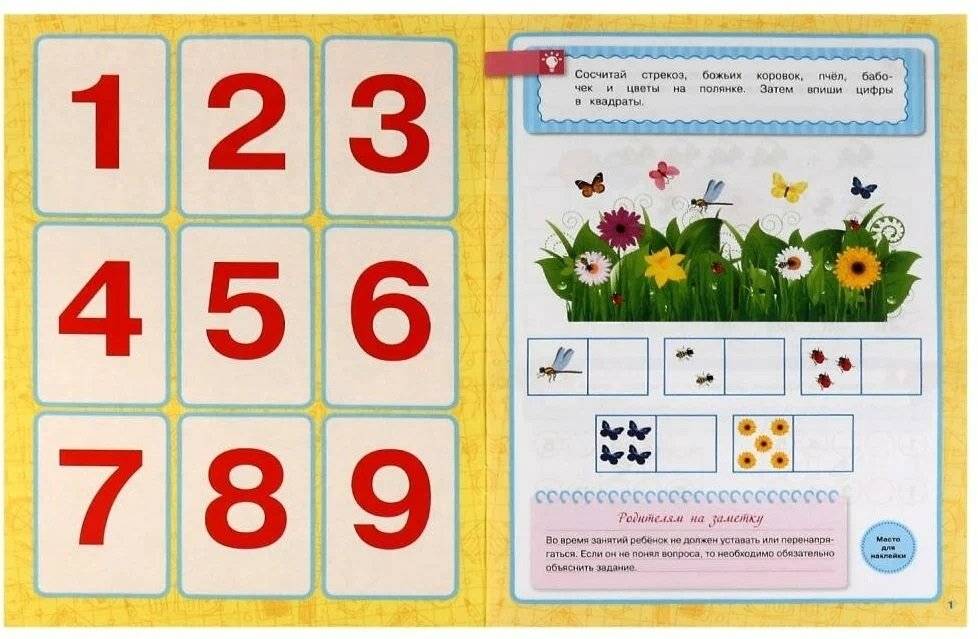 Цифры и счёт. 5-6 лет. Школа Жуковой. Годовой курс поощрительными наклейками фото книги 2
