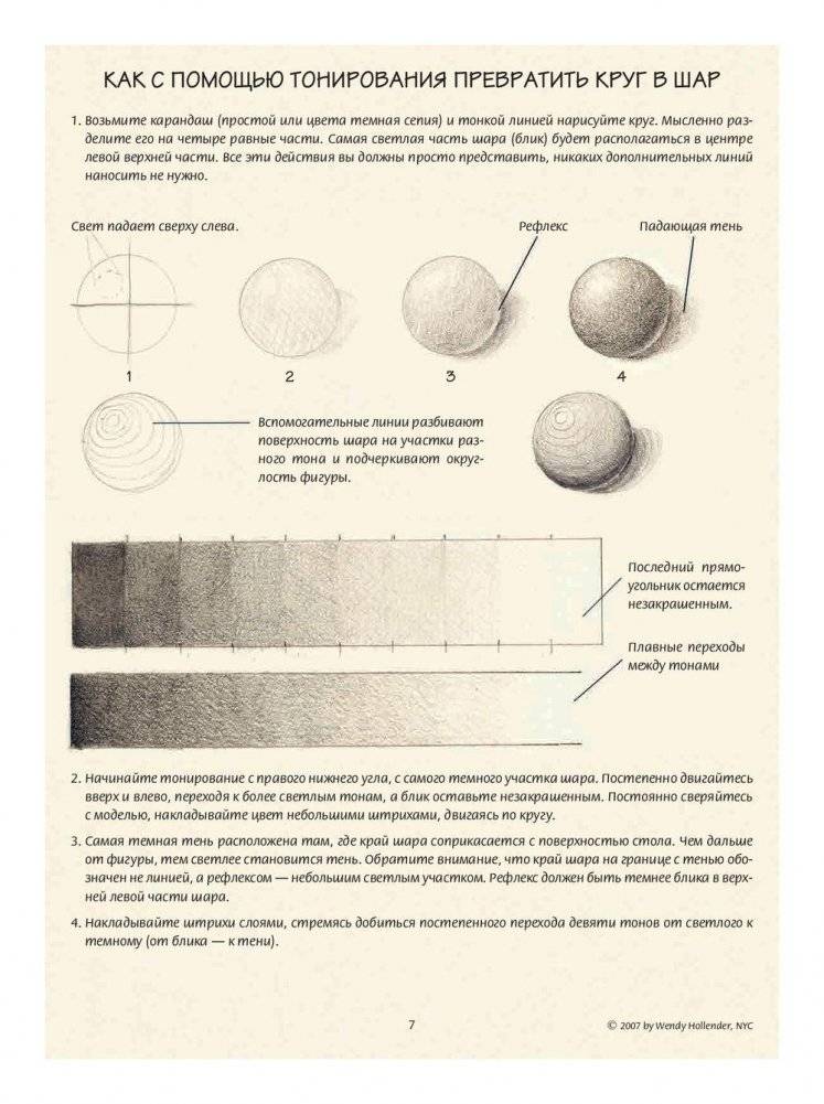 Ботаническая иллюстрация. Обучающий скетчбук фото книги 7