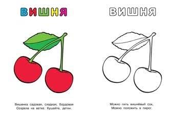 Фрукты (яблоко и сливы). Раскраска фото книги 2