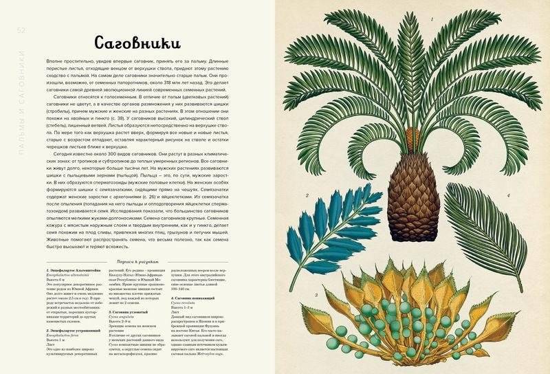 Ботаникум фото книги 2