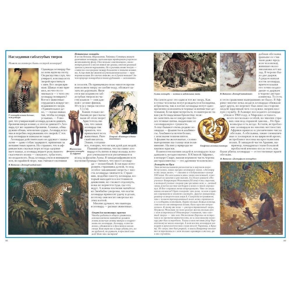 Загадки животного мира фото книги 4