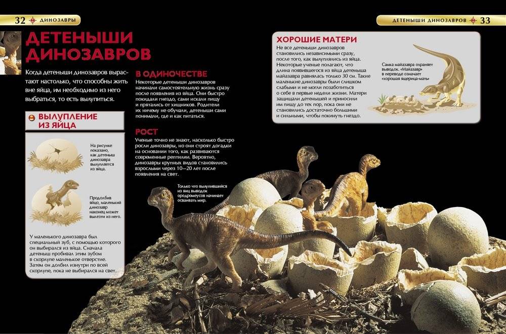 Динозавры. Детская энциклопедия фото книги 3