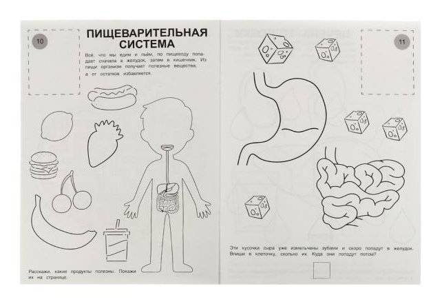 Внутренние органы. Раскраска. Атлас. Тело человека фото книги 4