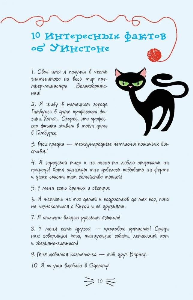 Секретный дневник кота-детектива фото книги 5