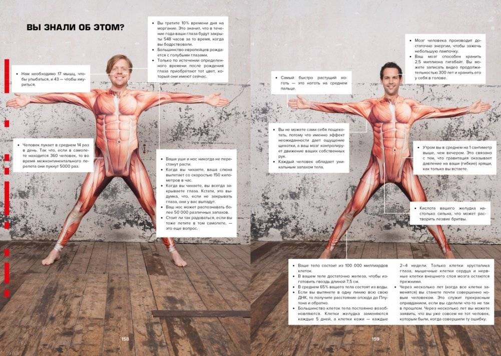 101 способ запудрить мозги и заодно развлечься: Секреты успешных иллюзионистов фото книги 5