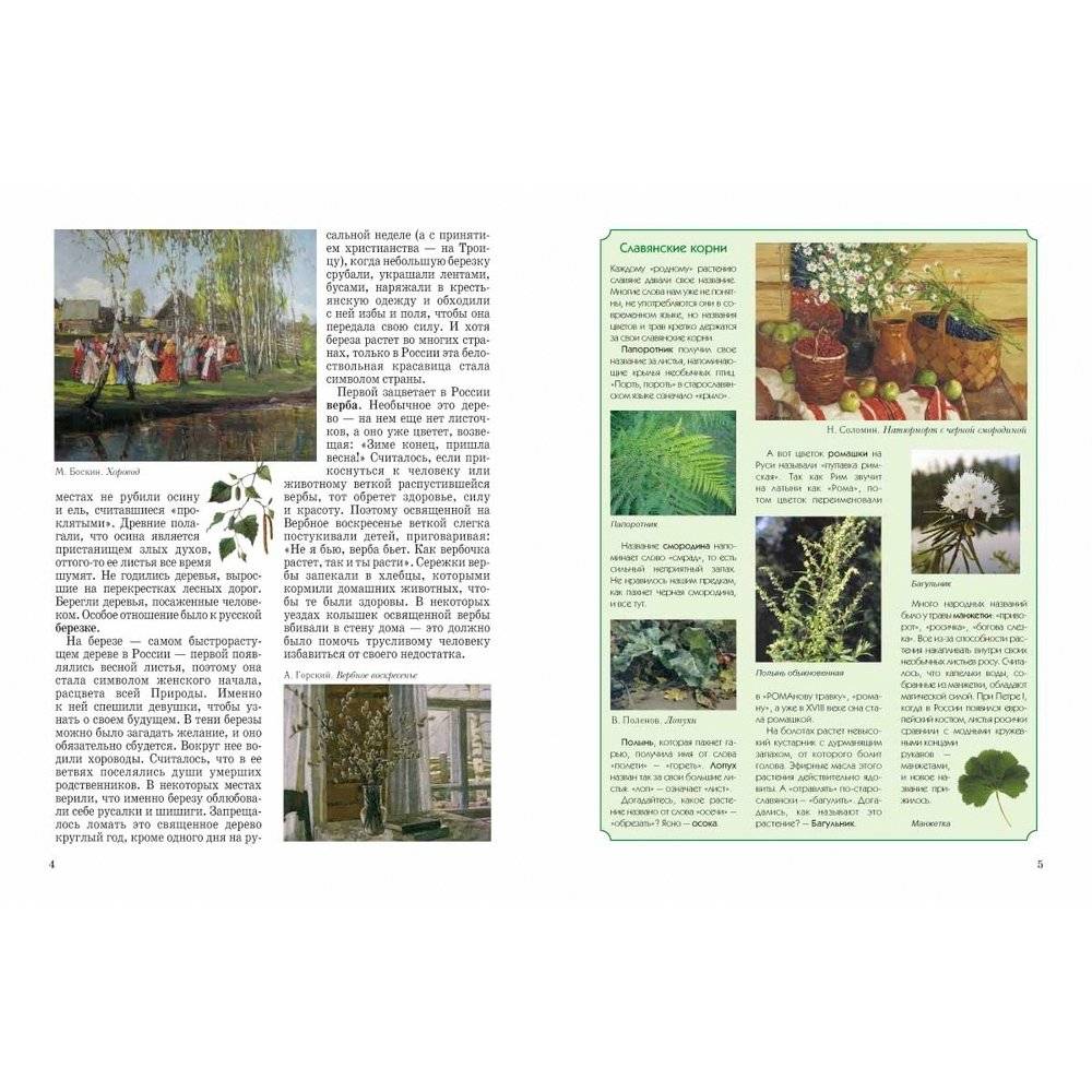 Природа России фото книги 2