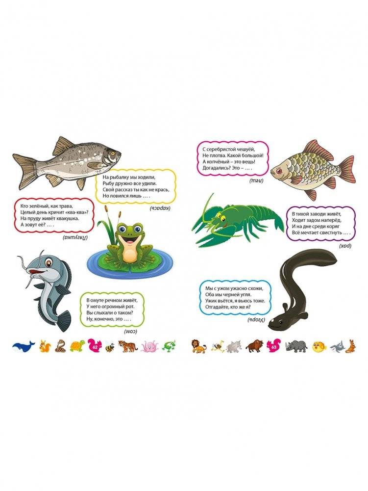 Лучшие загадки о животных фото книги 10