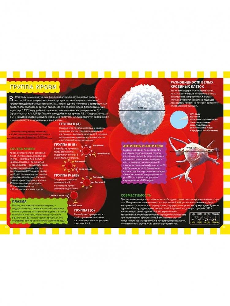 Как работает твоё тело. Детская энциклопедия фото книги 7