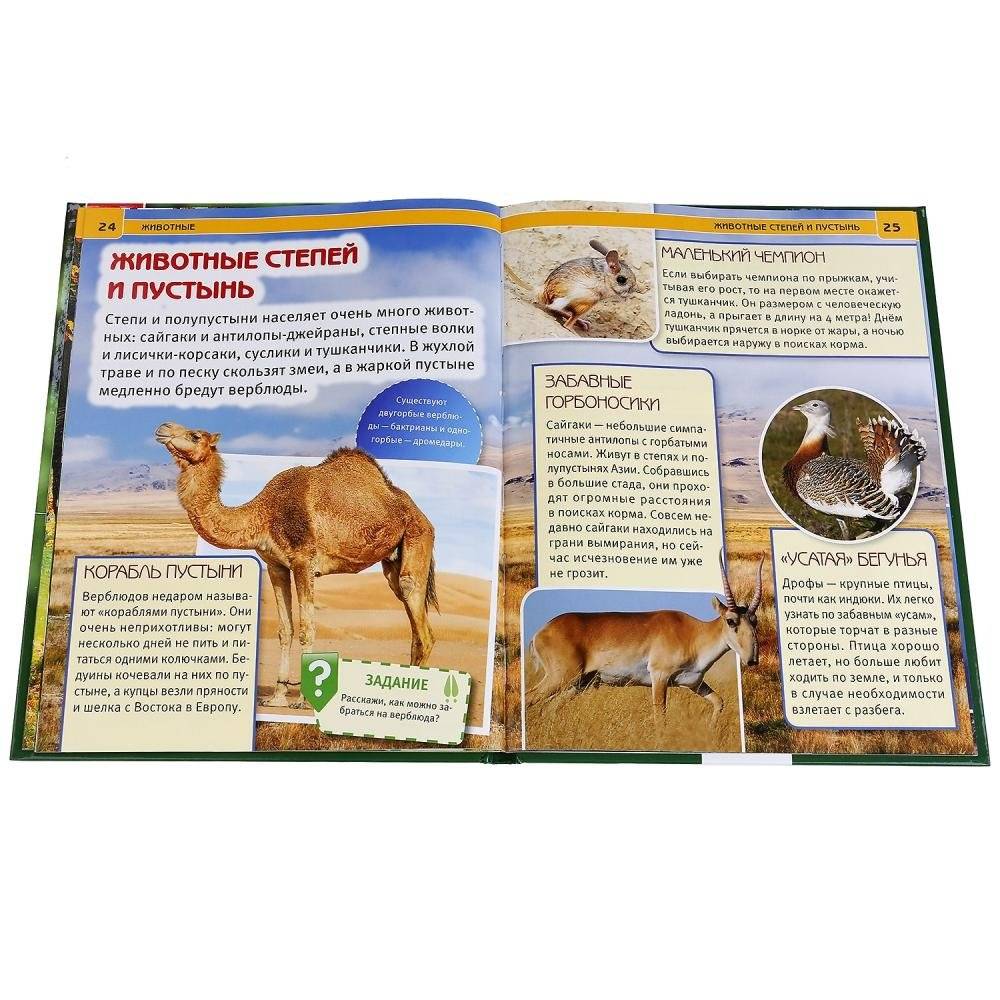 Животные фото книги 2