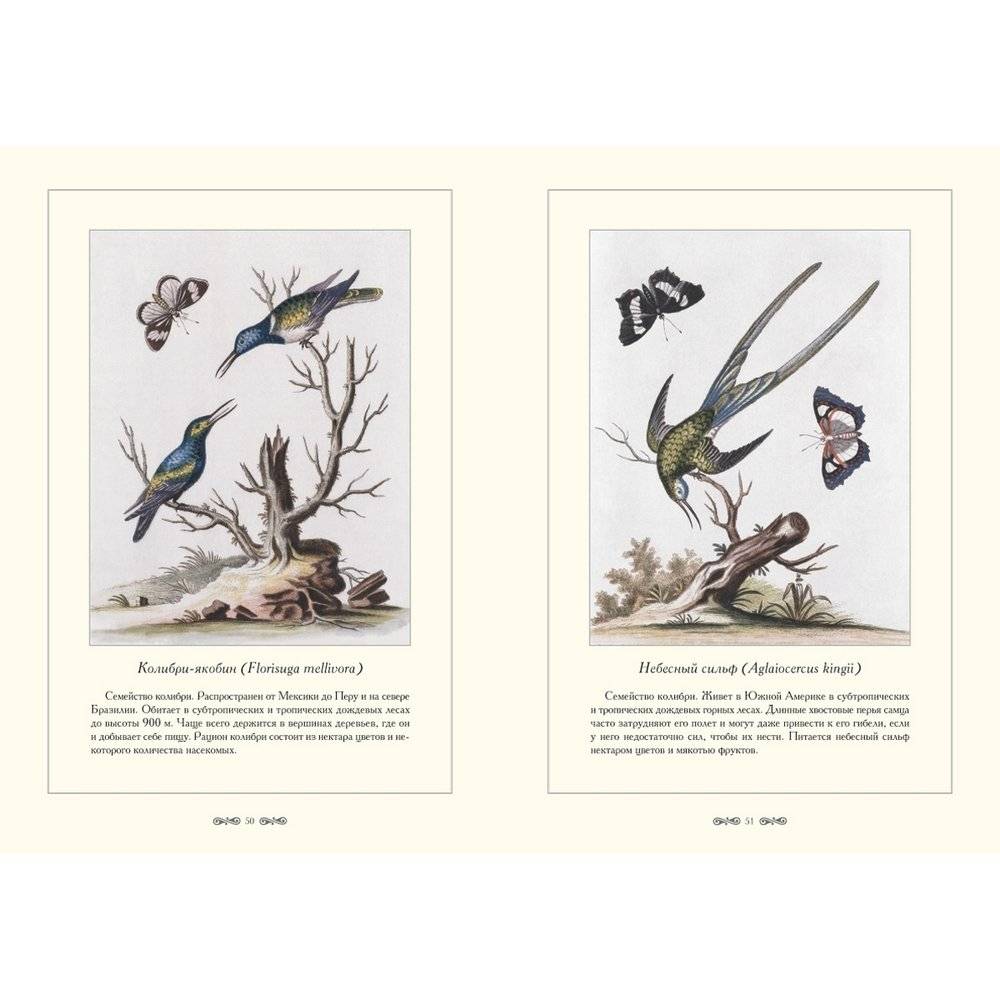 Зоологический альбом фото книги 6