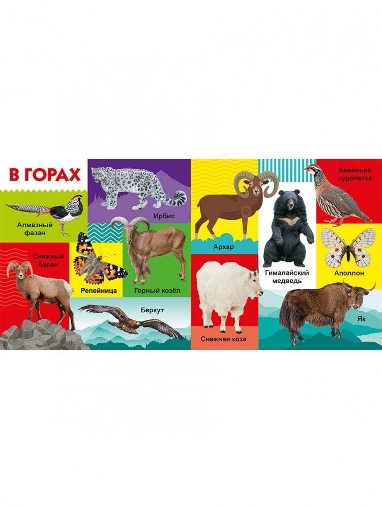 Твои любимые книжки. Животные фото книги 5