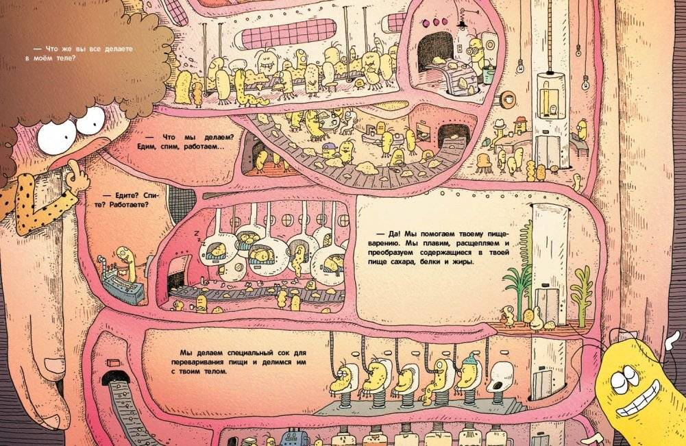 Отель для микробов фото книги 2