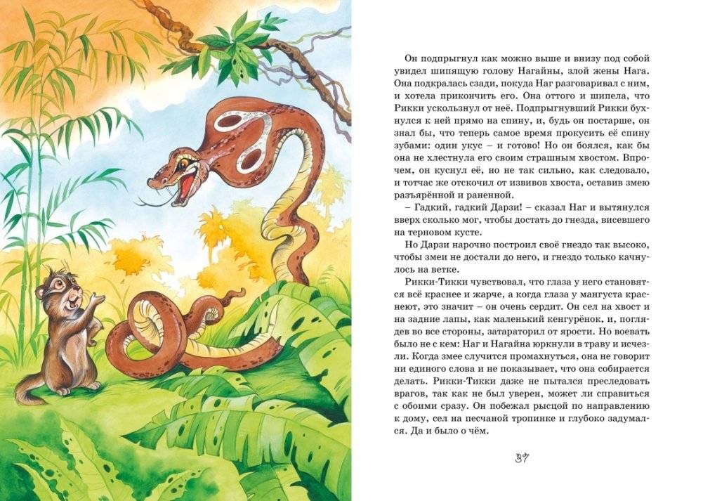 Сказки фото книги 7